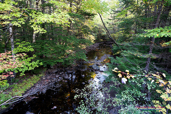 First Fall Photos Nova Scotia 129
