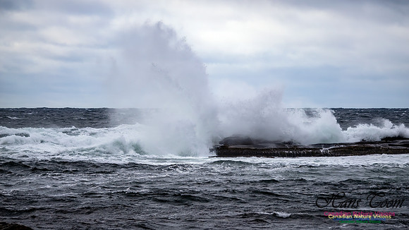 November Gale 3 129