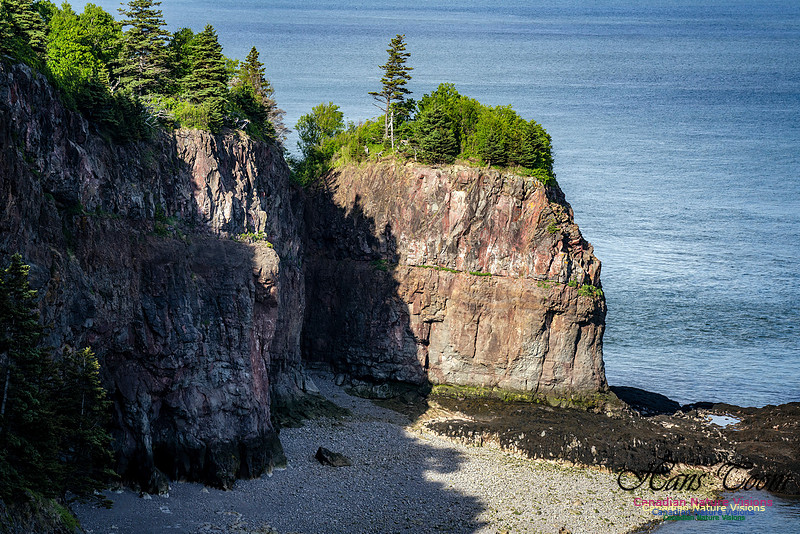 Cape d'Or 103