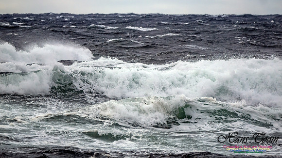 November Gale 3 103