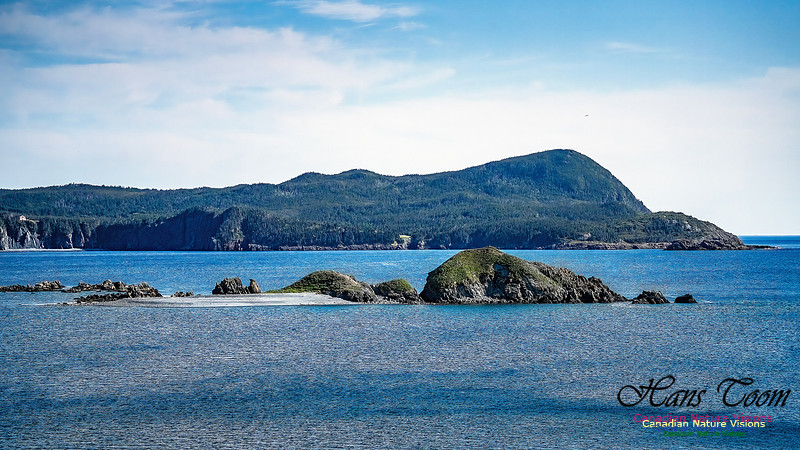 Cape Race 116