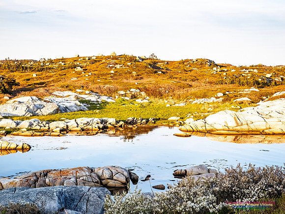 Late Day at Peggy's Cove 124