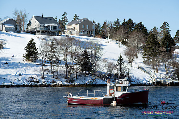 Prospect Bay Loop 131