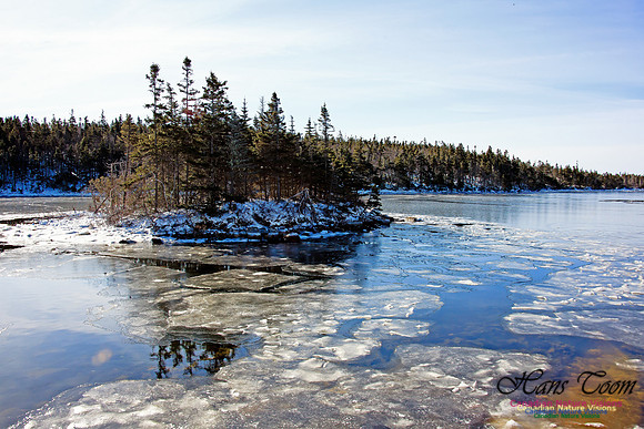 Sambro Head
