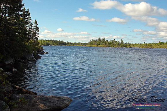 Cranberry Lake