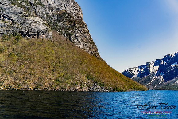 Western Brook Pond 187