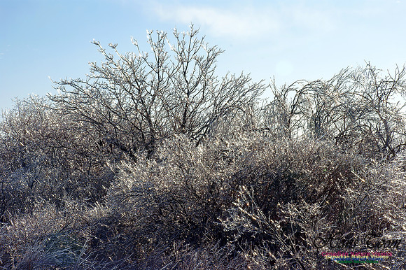 Ice Crystals