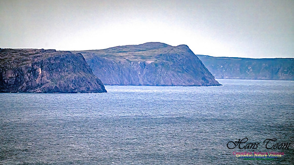 Baccalieu Coastal Drive 101 copy