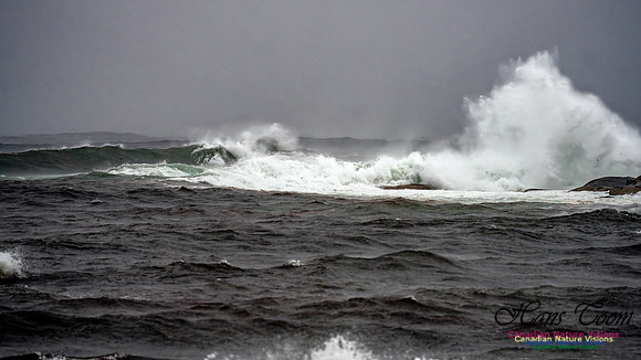 Nova Scotia Gale 2024-09-07 185