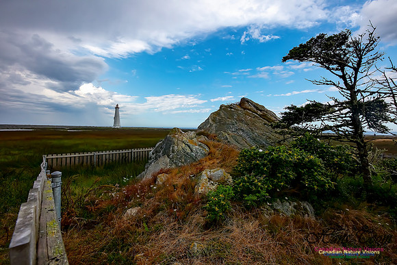 Cape Sable Light 115