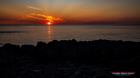 Brier Island Sunset 103