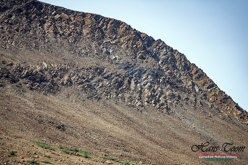 Table Mountains 104