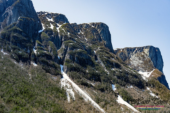 Western Brook Pond 219