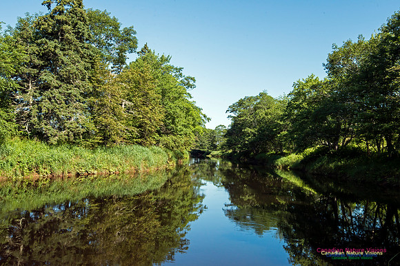 Musquodoboit River