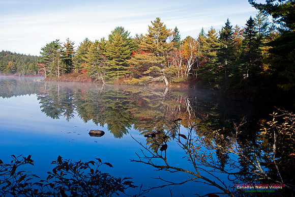 FallColours2012-24