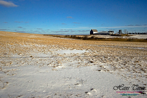 Country Farm in Winter