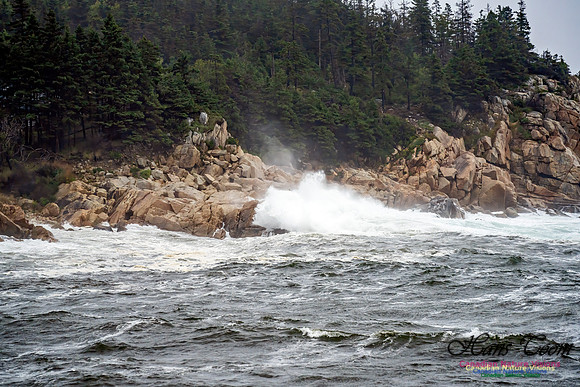 Nova Scotia Gale 2024-09-07 110