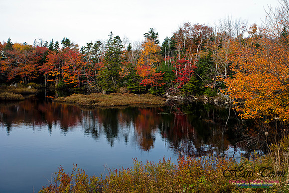 FallColours2012-38