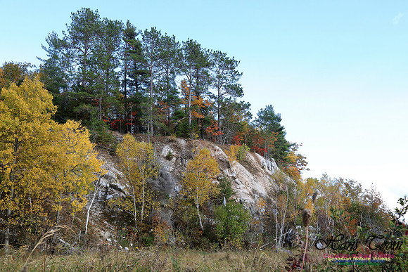 FallColours2016-1005