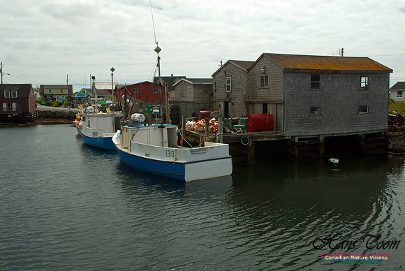 Peggys Cove