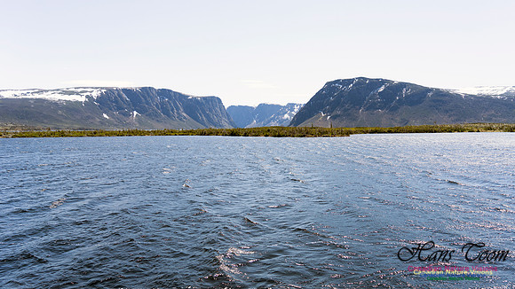 Western Brook Pond 116