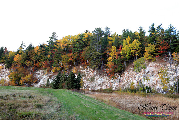 FallColours2016-1007