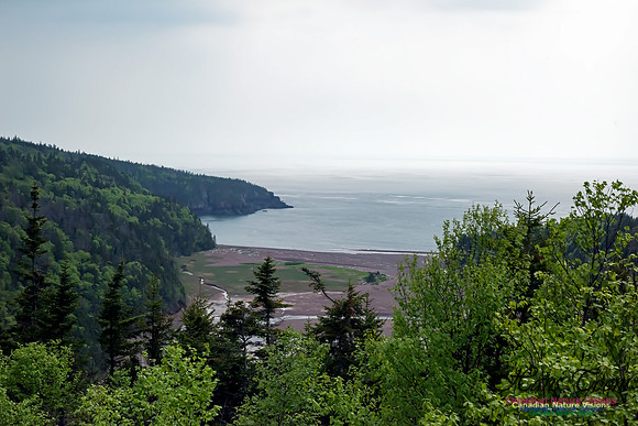 Chignecto Provincial Park