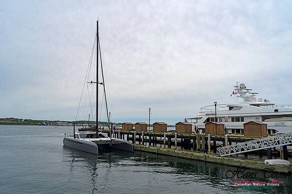 Halifax Waterfront Stroll 106