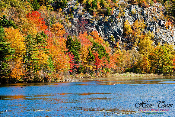 Red Bridge Pond