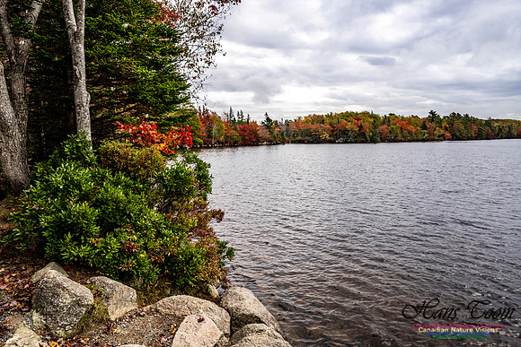 More Early Fall Photos in Nova Scotia 210
