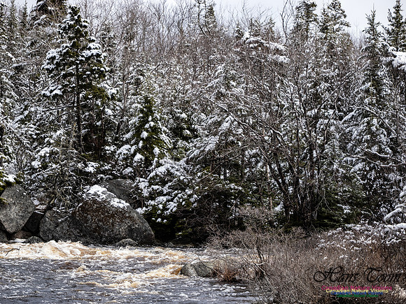 April Snow In Nova Scotia 129