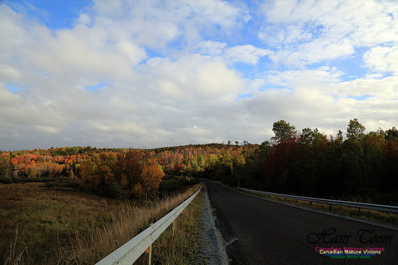 Shubenacadie Valley