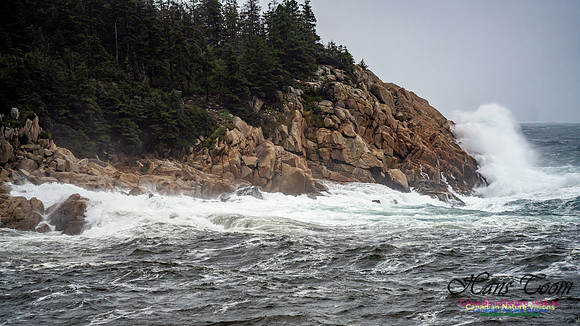 Nova Scotia Gale 2024-09-07 113