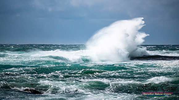 February 17 Gale 147