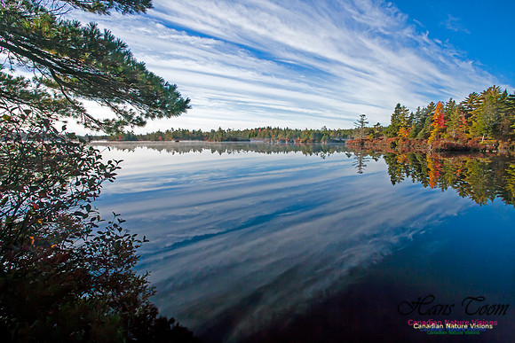 FallColours2012-28
