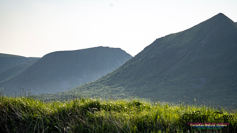 Table Mountains 116