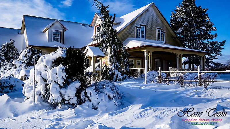 Snow Day 107
