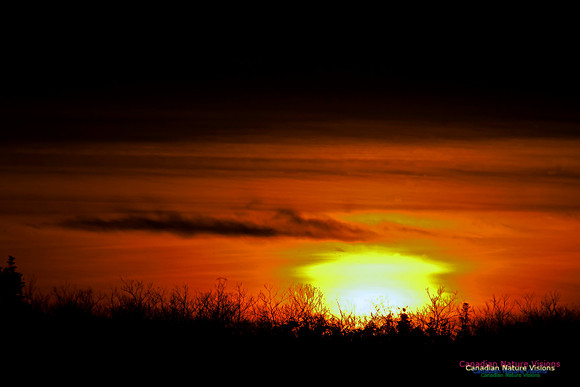 PortugueseCoveSunset10