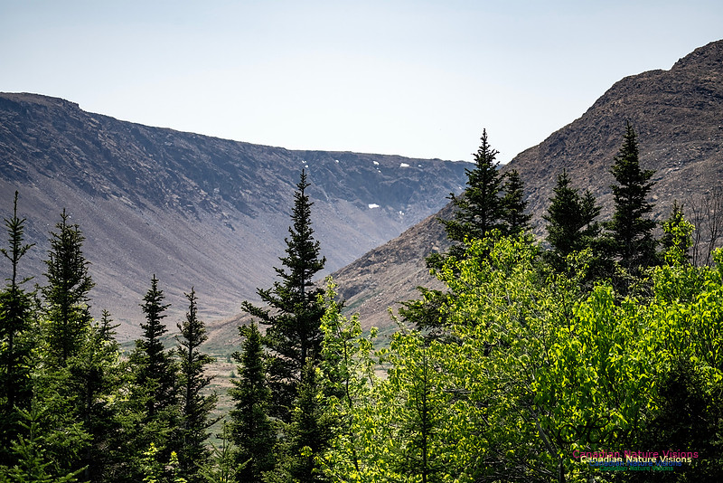 Table Mountains 109