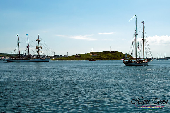 TallShips 2012