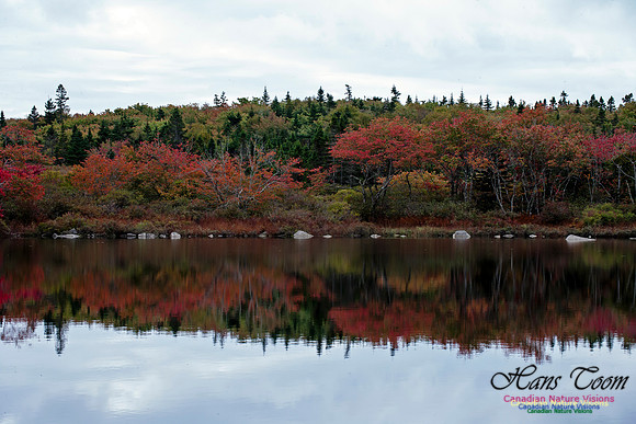 FallColours2012-64