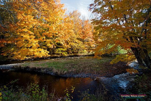 Smileys Provincial Park Fall Colours