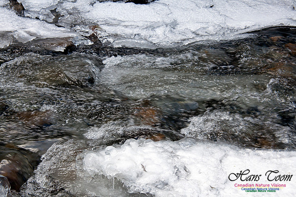 Butchers Creek