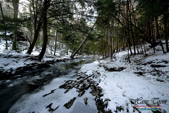 Butchers Creek