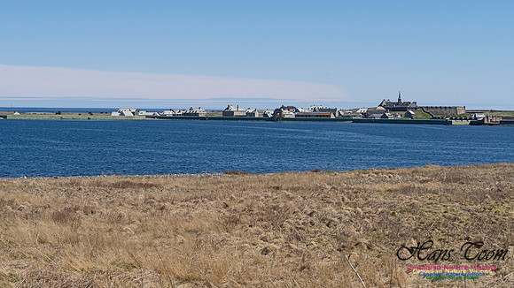 Fortress of Louisbourg 113