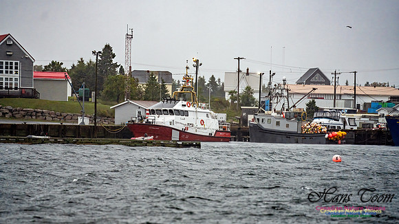 Nova Scotia Gale 2024-09-07 118