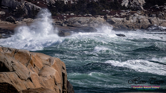 Coastal Tour 126