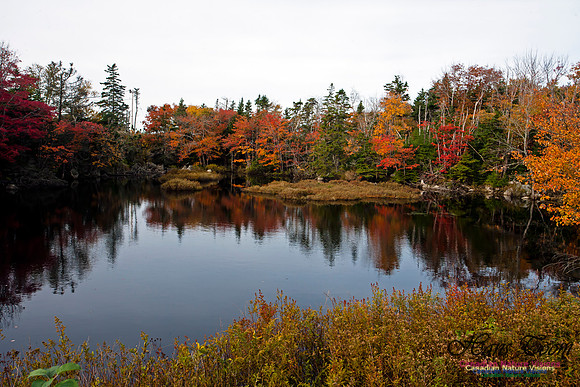 FallColours2012-37