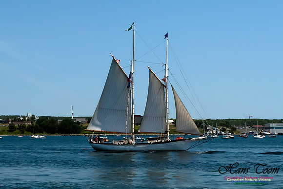 TallShips 2012