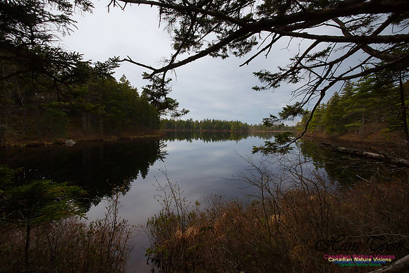 Wetlands Trail Mount Uniacke